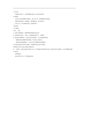 小班科学《快乐的种植》PPT课件教案参考教案.docx