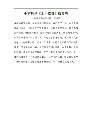 中班科学《水中捞针》PPT课件教案微反思.docx