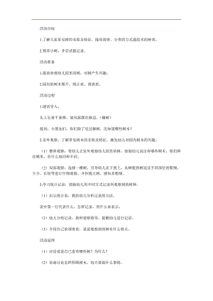 中班科学《我身边的树》PPT课件教案参考教案.docx