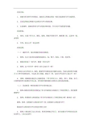 大班数学《漂亮的马甲》PPT课件教案参考教案.docx
