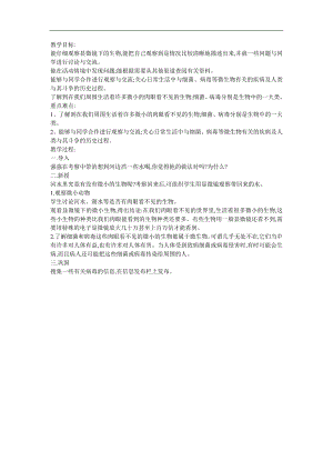 幼儿园科学《看不见的生物-微生物》FLASH课件动画教案参考教案.docx