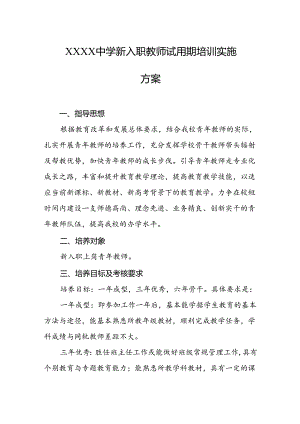 中学新入职教师试用期培训实施方案.docx
