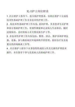 见习护士岗位职责.docx