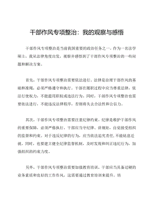 干部作风专项整治：我的观察与感悟.docx