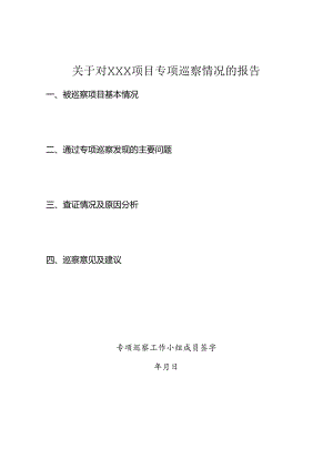 项目专项巡察情况报告.docx