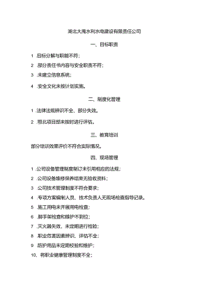 湖北大禹水利水电建设有限责任公司问题清单（水利厅）.docx