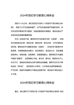 “学纪、知纪、明纪、守纪”党纪学习教育学习体会四篇.docx