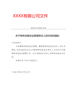 工程企业关于特种设备安全管理责任人员任命的通知.docx