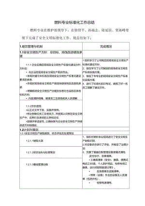 燃料专业标准化工作总结.docx