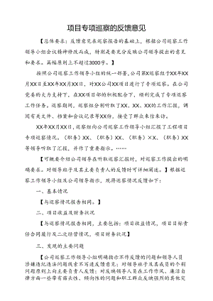 项目专项巡察的反馈意见.docx
