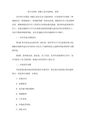 青年先锋队-贡献之星评选规则、流程-何总R1.docx