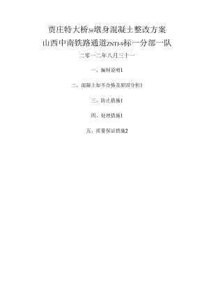 混凝土缺陷整改方案.docx