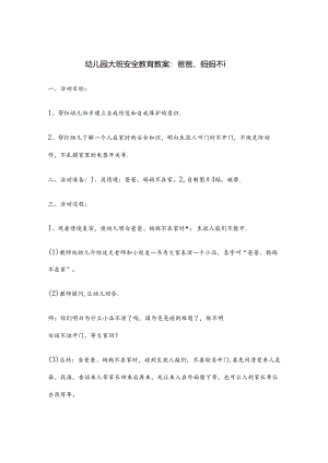 幼儿园大班安全教育教案范例-5篇.docx