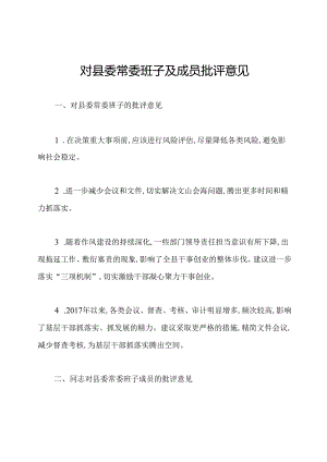 对县委常委班子及成员批评意见.docx