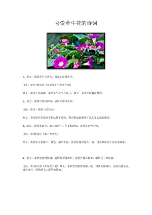 喜爱牵牛花的诗词.docx