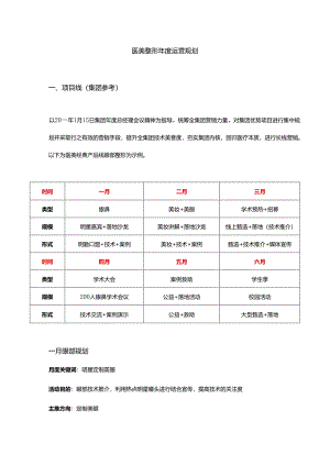 医美整形医院年度运营计划方案细则.docx