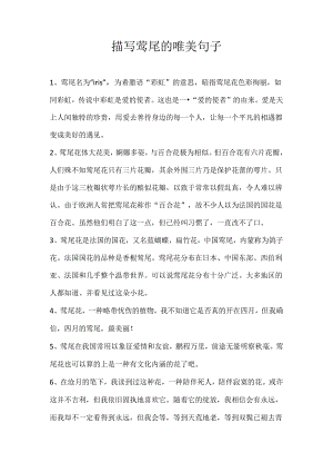 描写鸢尾的唯美句子.docx