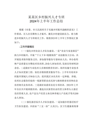 某某区乡村振兴人才专班2024年上半年工作总结.docx