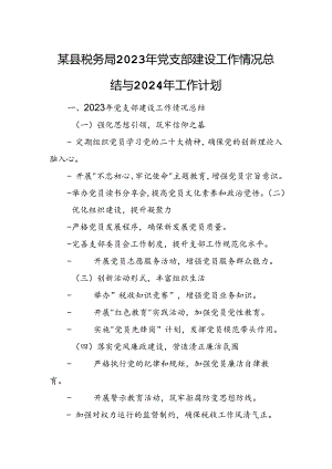 某县税务局2023年党支部建设工作情况总结与2024年工作计划.docx