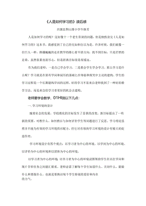 人是如何学习的读后感.docx