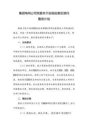集团电网公司党委关于巡视巡察反馈问题整改计划.docx