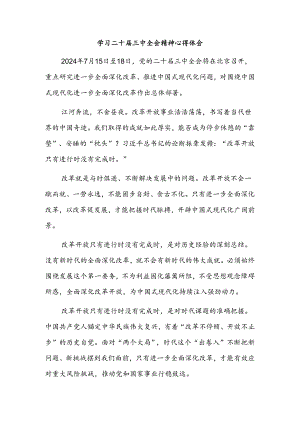 学习二十届三中全会精神心得体会.docx