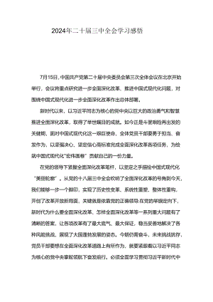 2024年二十届三中全会学习感悟.docx
