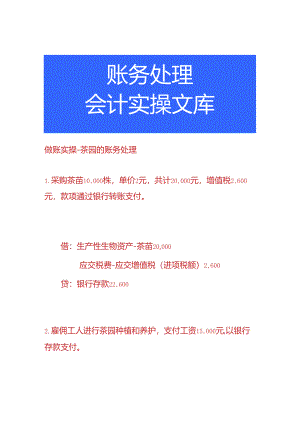 做账实操-茶园的账务处理.docx
