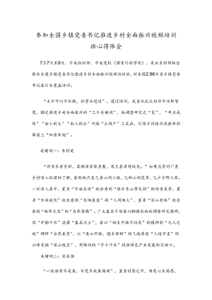 参加全国乡镇党委书记推进乡村全面振兴视频培训班心得体会.docx