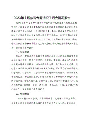 2023年主题教育专题组织生活会情况报告.docx