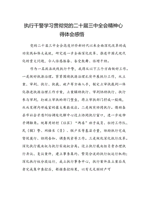 执行干警学习贯彻党的二十届三中全会精神心得体会感悟.docx