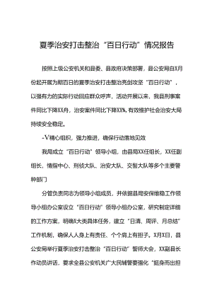 十二篇2024公安夏季治安打击整治“百日行动”阶段性总结汇报.docx