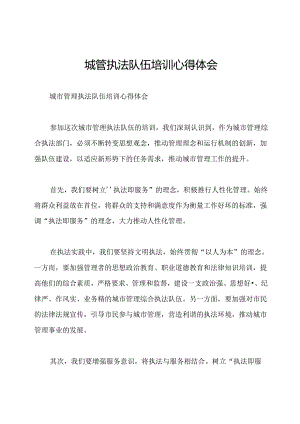 城管执法队伍培训心得体会.docx
