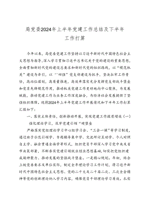 局党委2024年上半年党建工作总结及下半年工作打算2025.docx