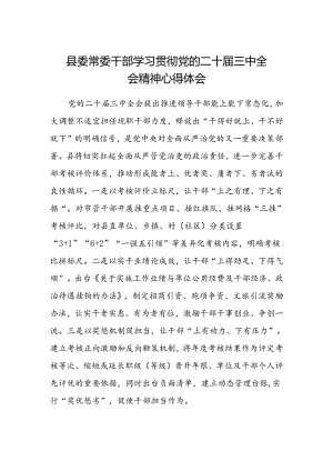 县委常委干部学习贯彻党的二十届三中全会精神心得体会.docx