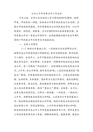 公安上半年政务公开工作总结.docx