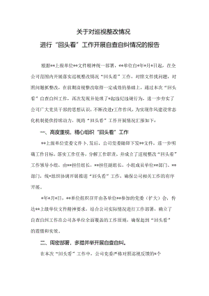 关于对巡视整改情况进行“回头看”工作开展自查自纠情况的报告.docx