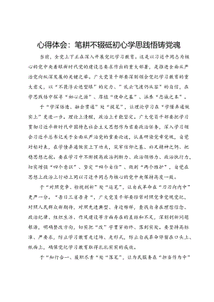 心得体会：笔耕不辍砥初心学思践悟铸党魂.docx