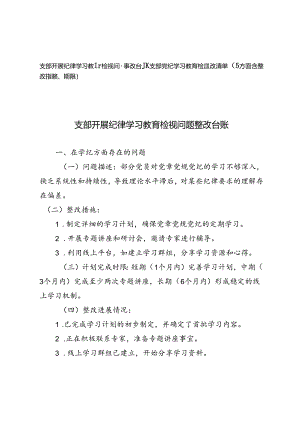 支部开展纪律学习教育检视问题整改台账+支部党纪学习教育检视整改清单（5方面含整改措施、期限）.docx
