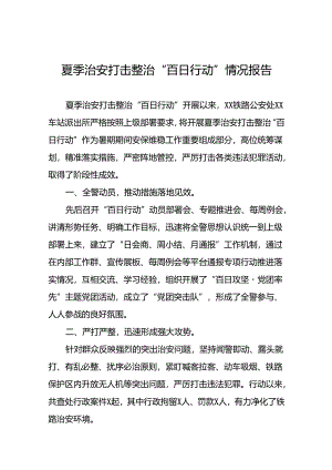 公安夏季治安打击整治“百日行动”工作总结四篇.docx