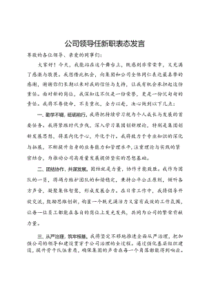 公司领导任新职表态发言.docx