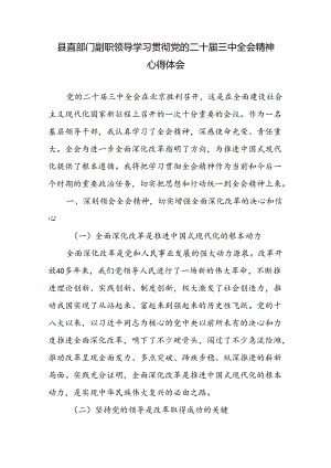 机关部门副职领导副局长学习贯彻党的二十届三中全会精神心得体会研讨发言.docx