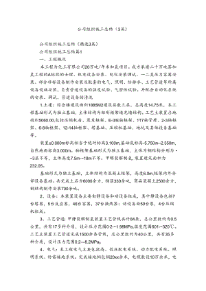 公司组织施工总结（3篇）.docx