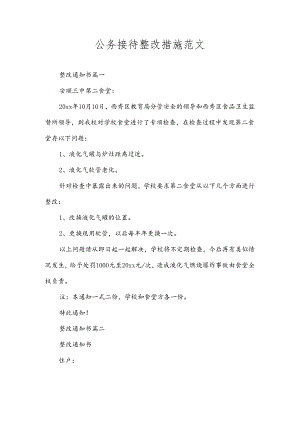 公务接待整改措施范文.docx