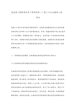 县直部门副职领导学习贯彻党的二 十届三 中全会精神心得体会.docx