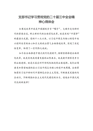 支部书记学习贯彻党的二十届三中全会精神心得体会.docx