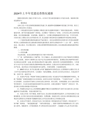 2024年上半年党建巡查情况通报.docx