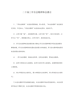 二十届三中全会精神体会感言.docx
