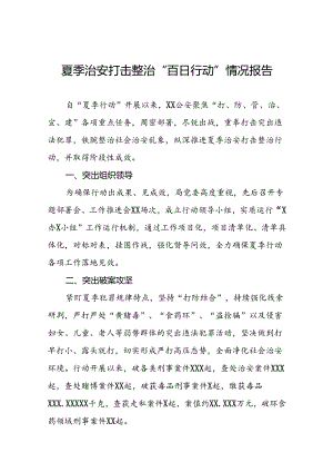 十八篇2024年夏季治安打击整治行动情况汇报.docx