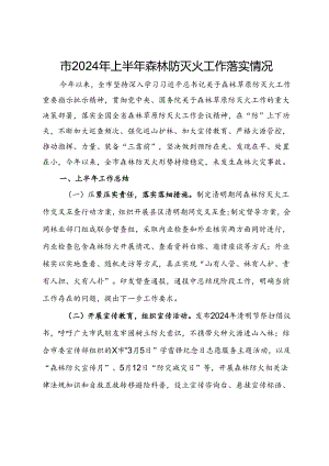 市2024年上半年森林防灭火工作落实情况.docx